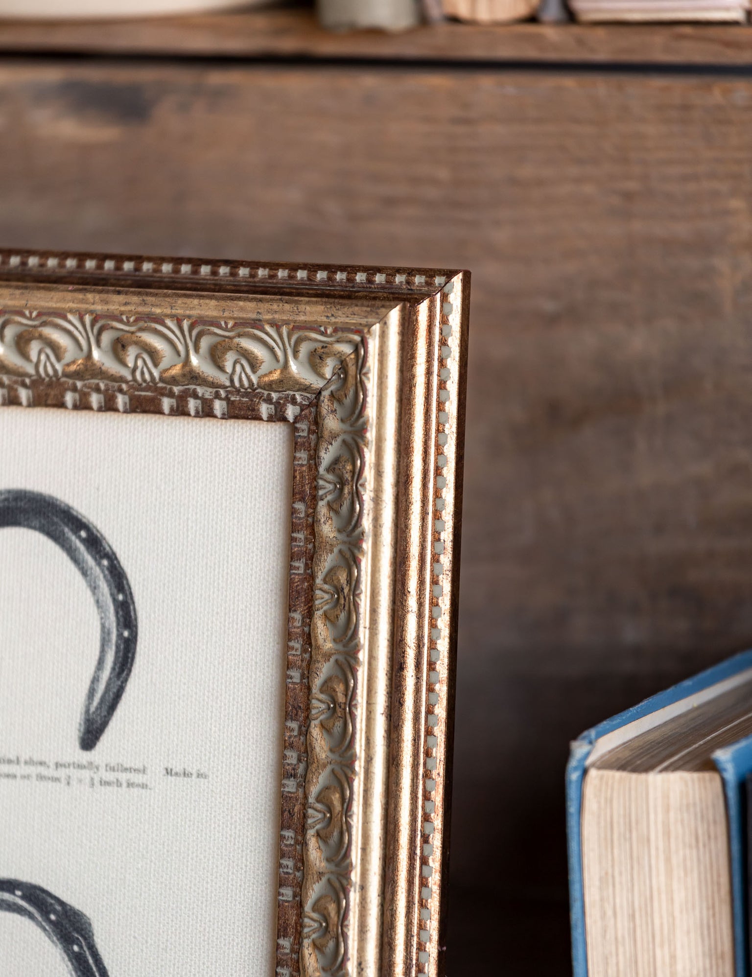 Horse Shoe Framed Art Petal Lane Home