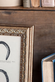 Horse Shoe Framed Art Petal Lane Home