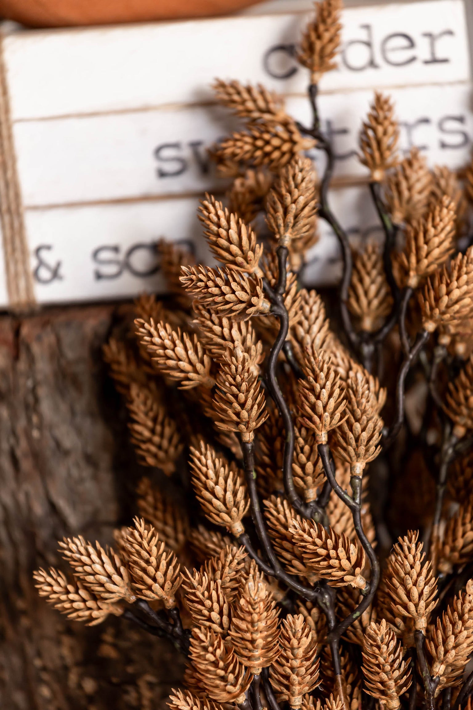 Pinecones Bush Lancaster and Vintage