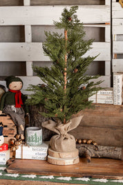 Pinecone Burlap Potted Tree Lancaster and Vintage