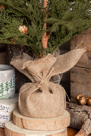 Pinecone Burlap Potted Tree Lancaster and Vintage