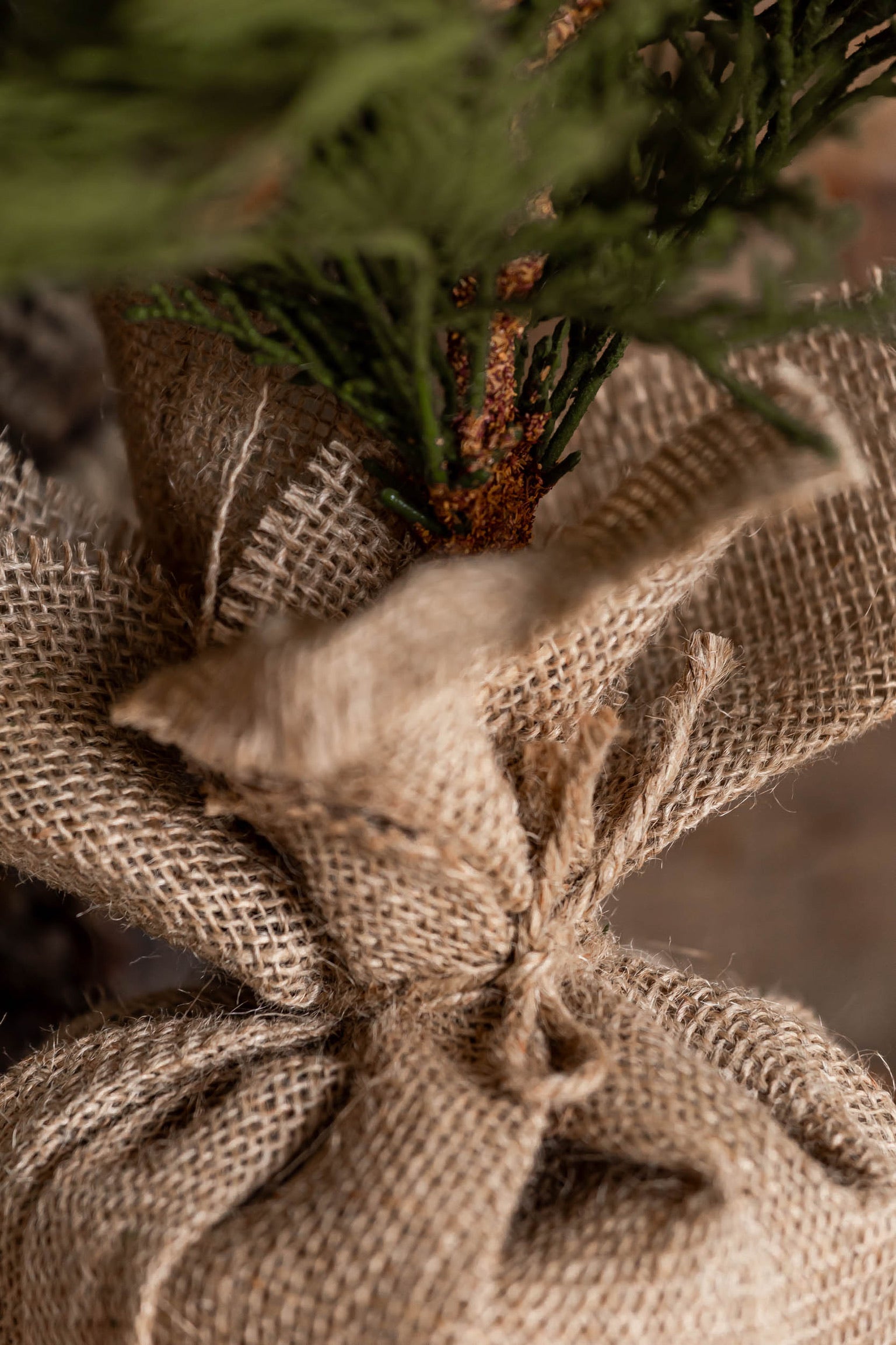 Pinecone Burlap Potted Tree Lancaster and Vintage