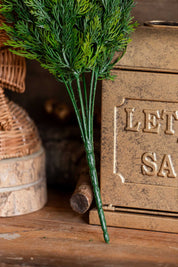 Tonal Cedar Bush Lancaster and Vintage