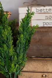 Tonal Cedar Bush Lancaster and Vintage