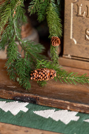 White Spruce Hanging Stem Lancaster and Vintage