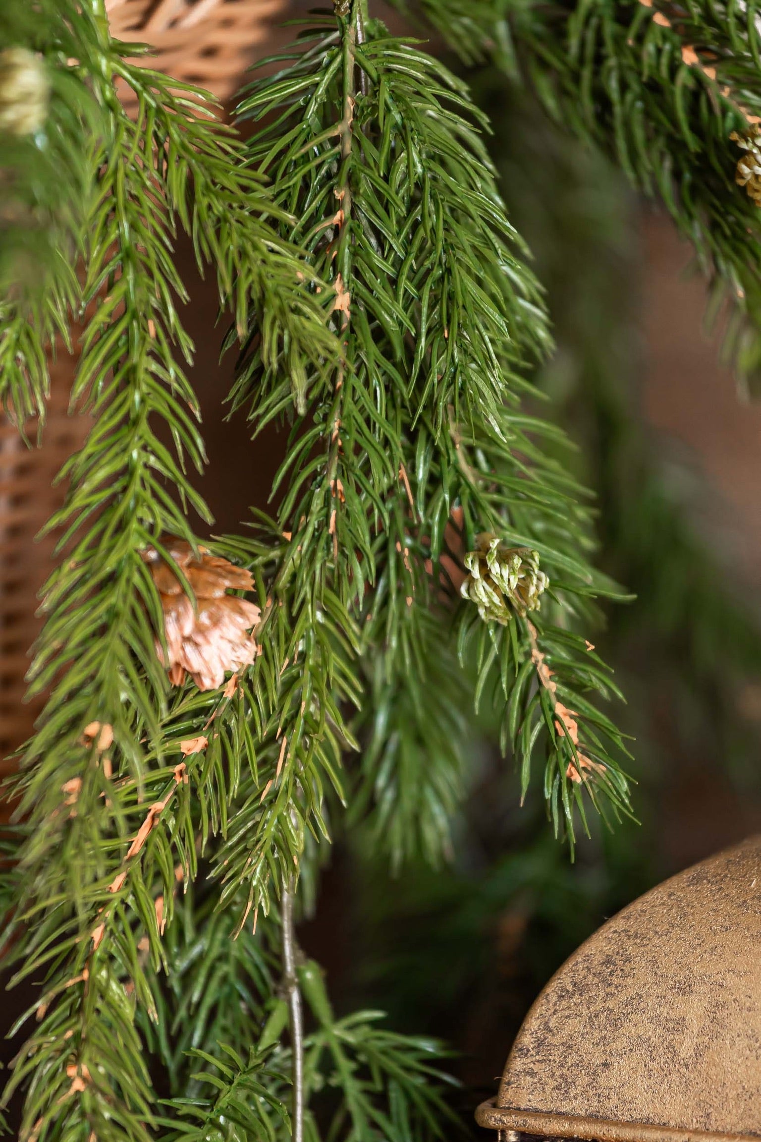 White Spruce Hanging Stem Lancaster and Vintage
