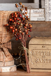 Festive Berry Bush Lancaster and Vintage