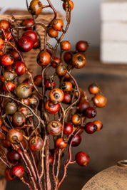 Festive Berry Bush Lancaster and Vintage