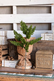 Green Cedar Stem Raz Imports