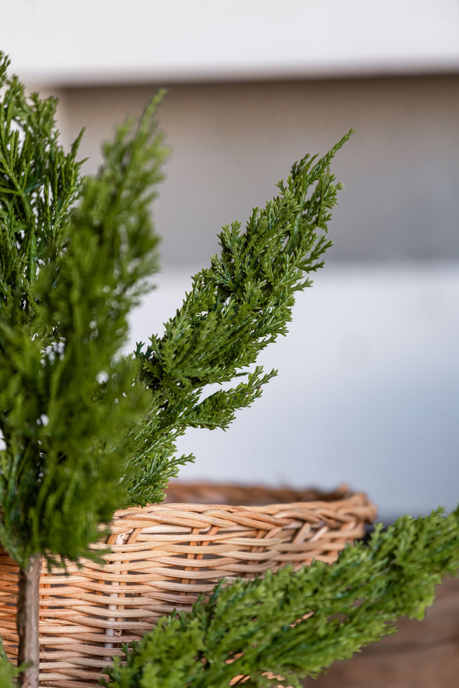 Green Cedar Stem Raz Imports