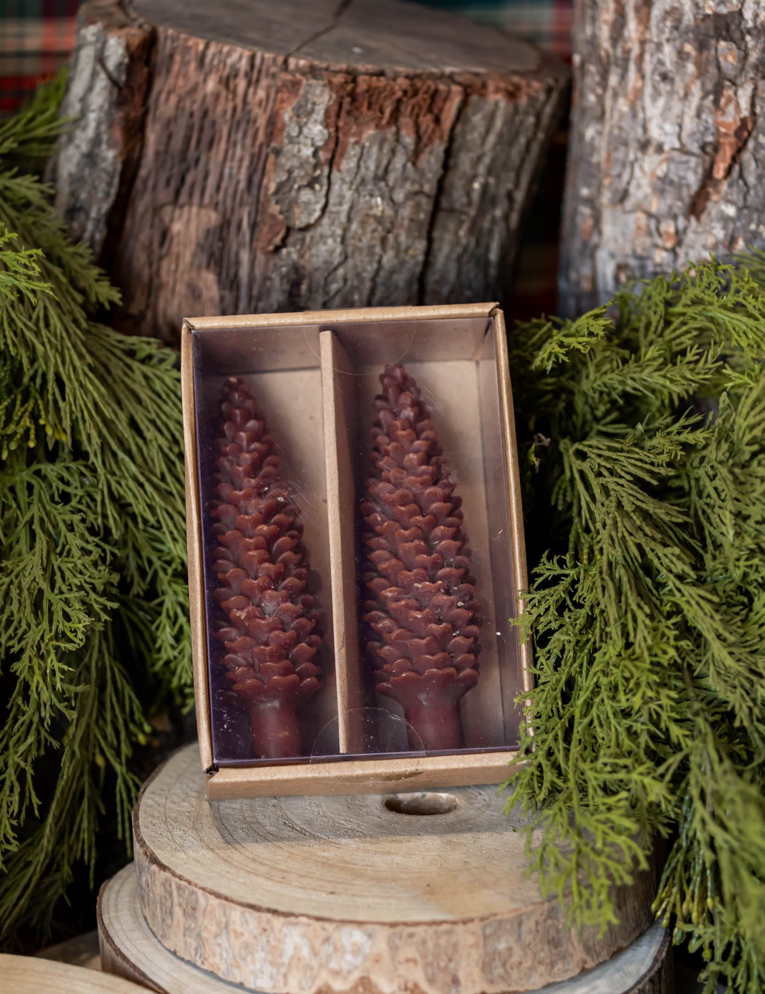 Unscented Pinecone Taper Candles Creative Co-Op