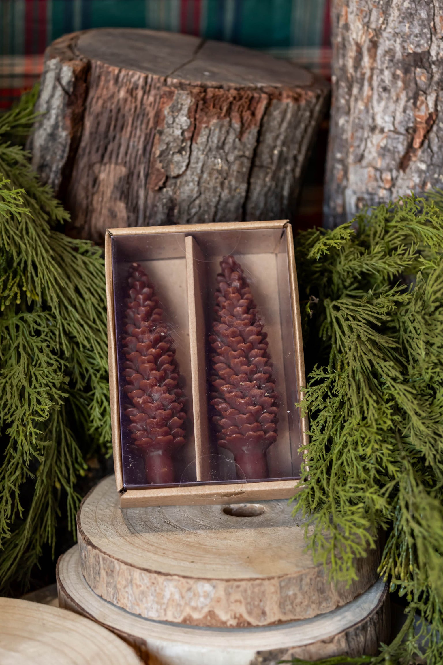 Unscented Pinecone Taper Candles Creative Co-Op