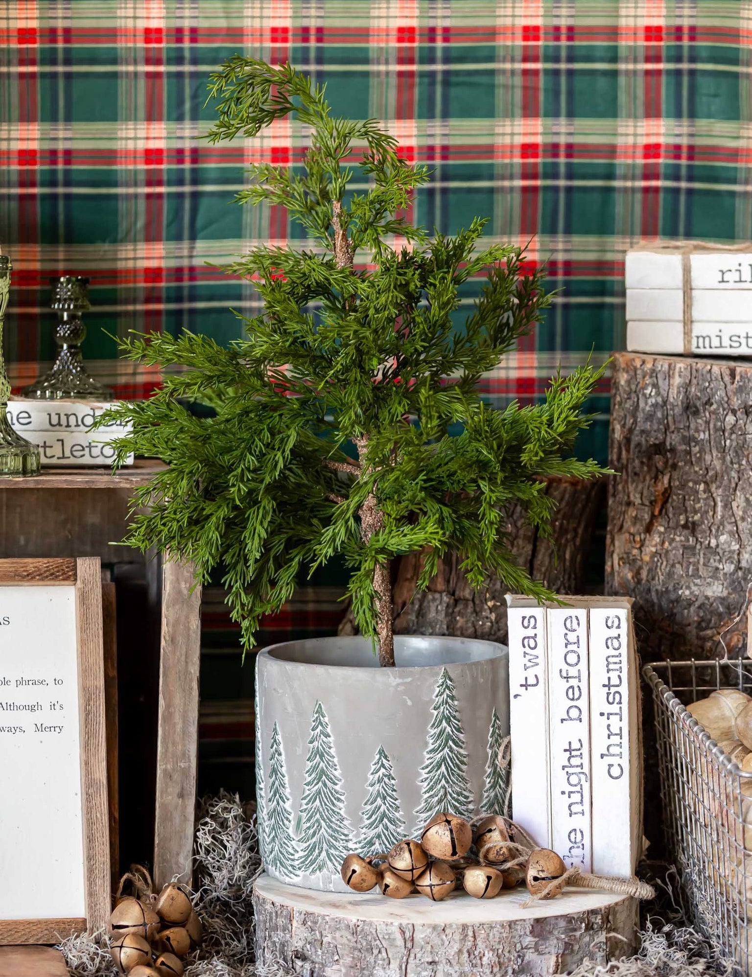 Potted Cedar Tree Raz Imports
