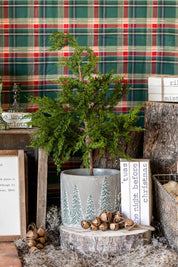 Potted Cedar Tree Raz Imports