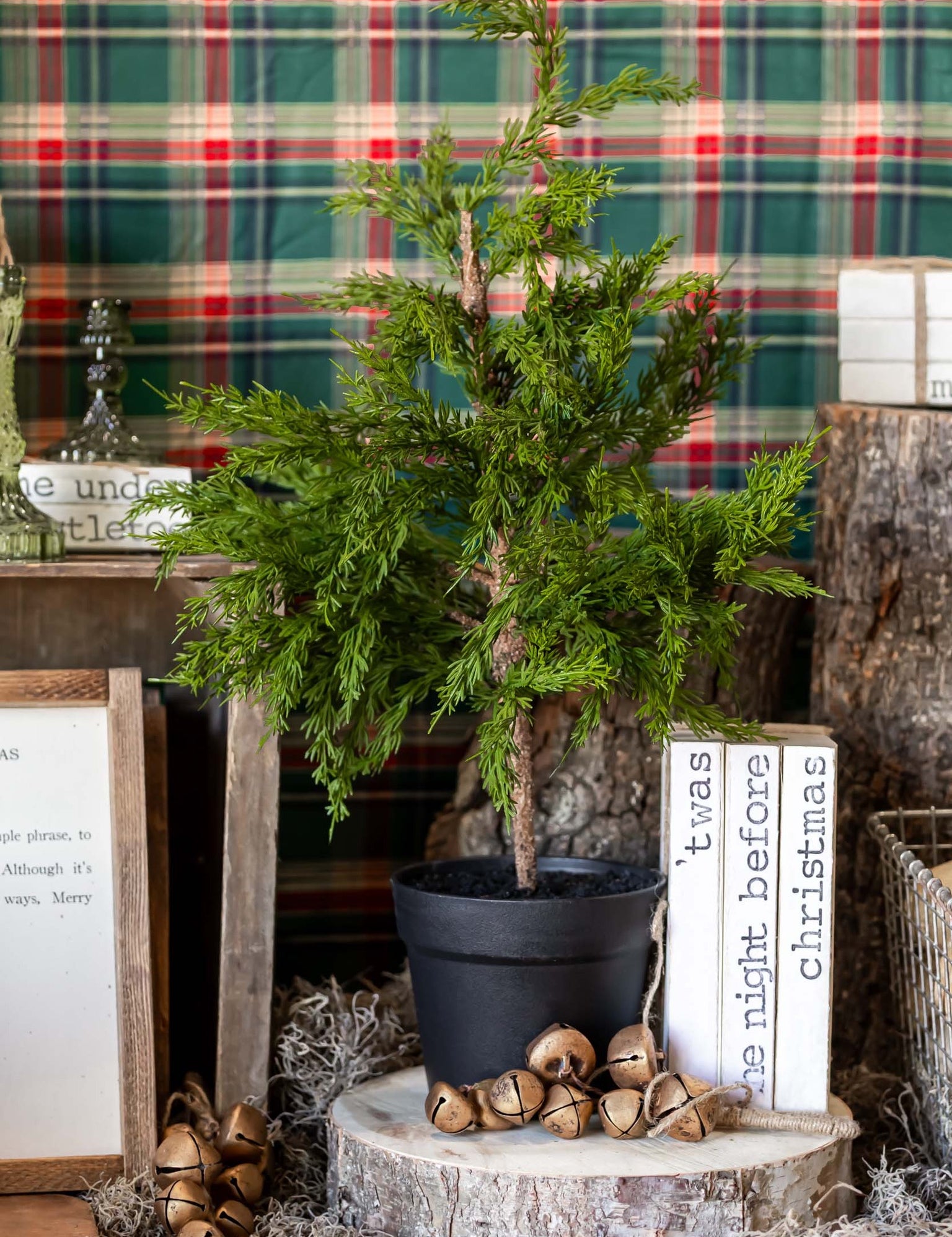 Potted Cedar Tree Raz Imports