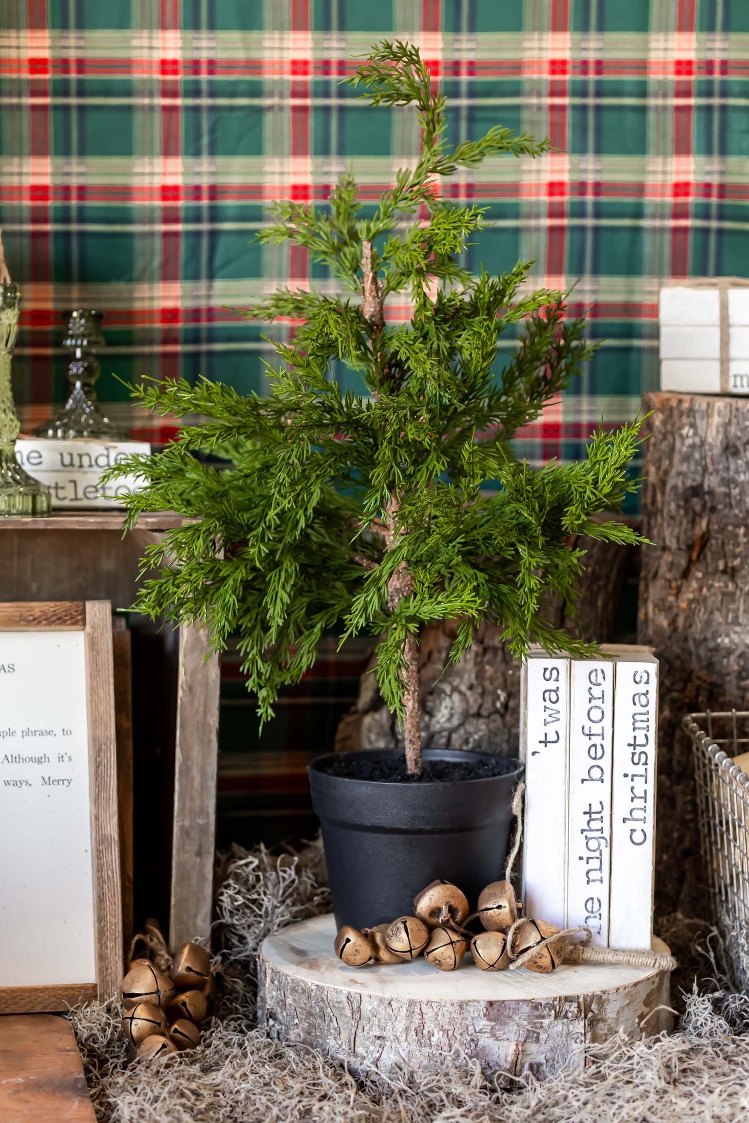 Potted Cedar Tree Raz Imports