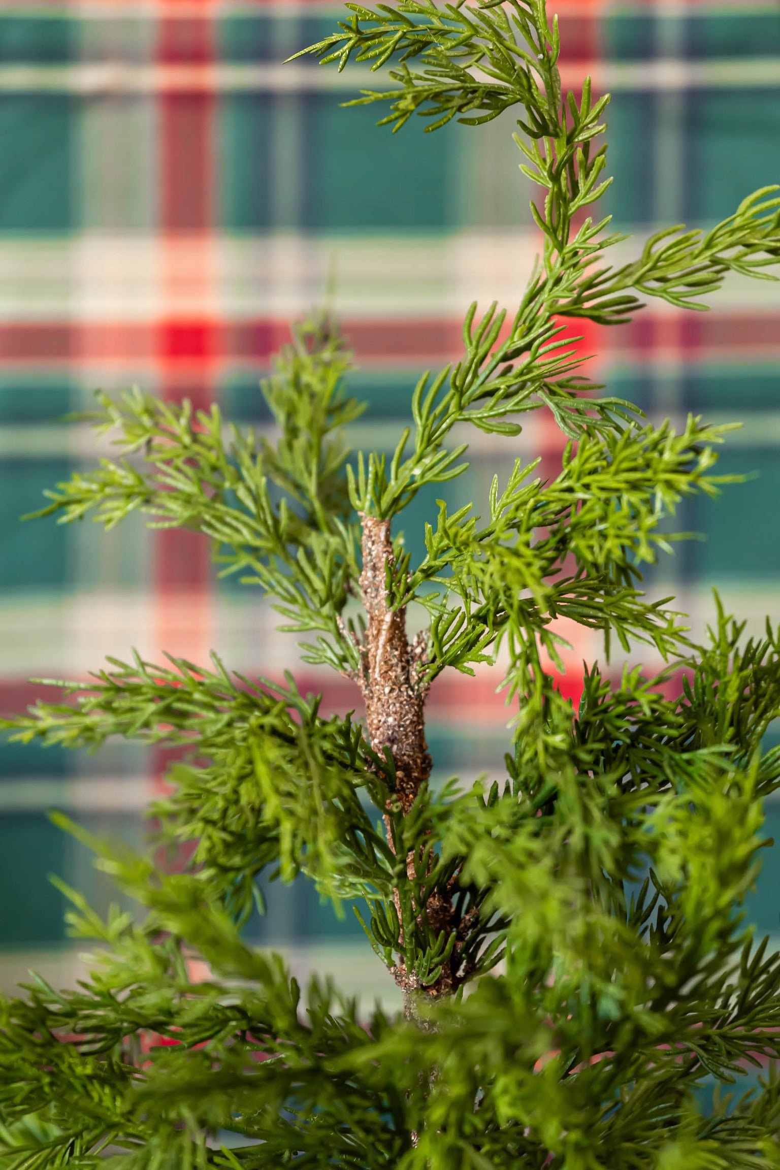 Potted Cedar Tree Raz Imports