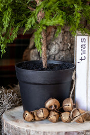 Potted Cedar Tree Raz Imports