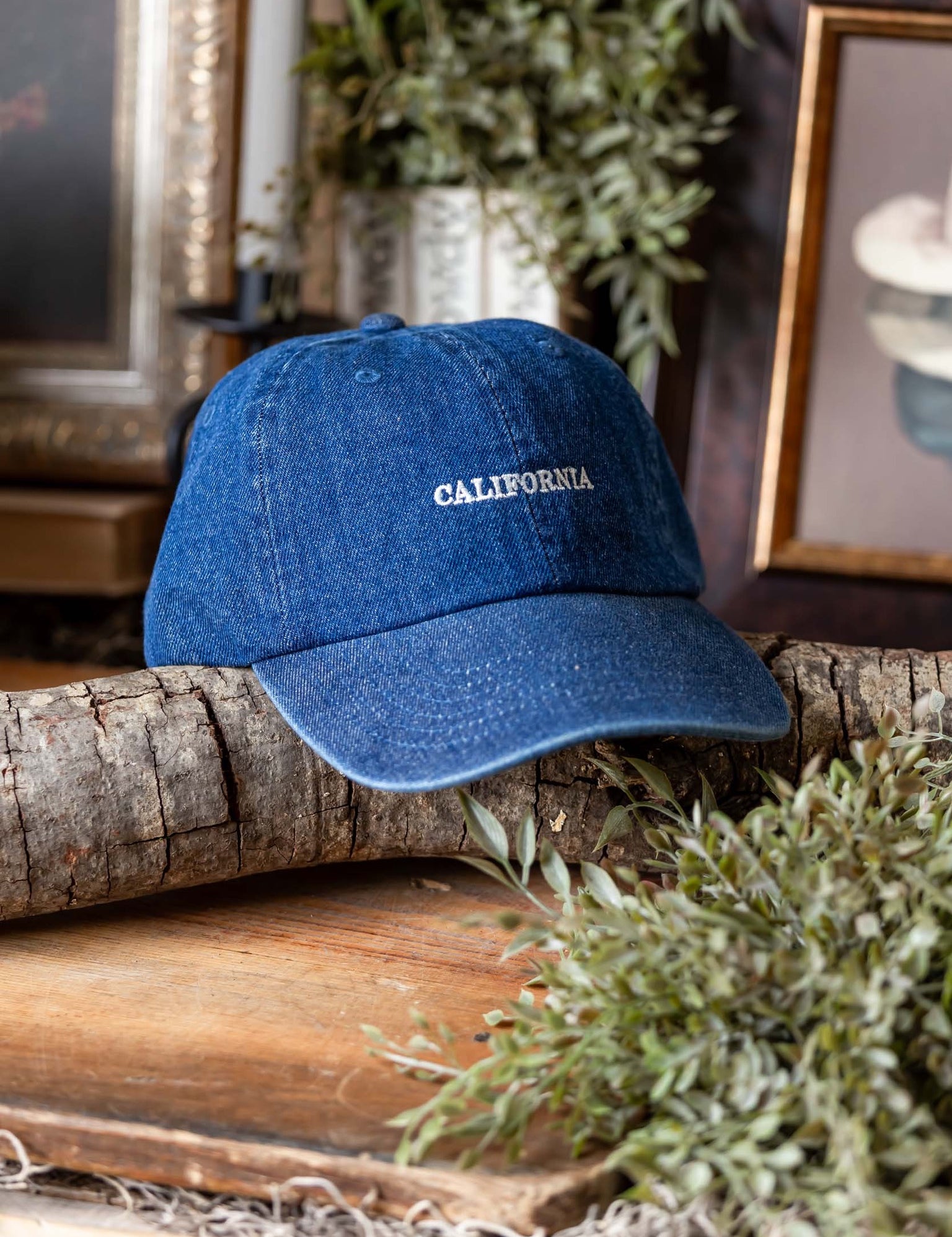 California Embroidered Denim Cap Fashion City