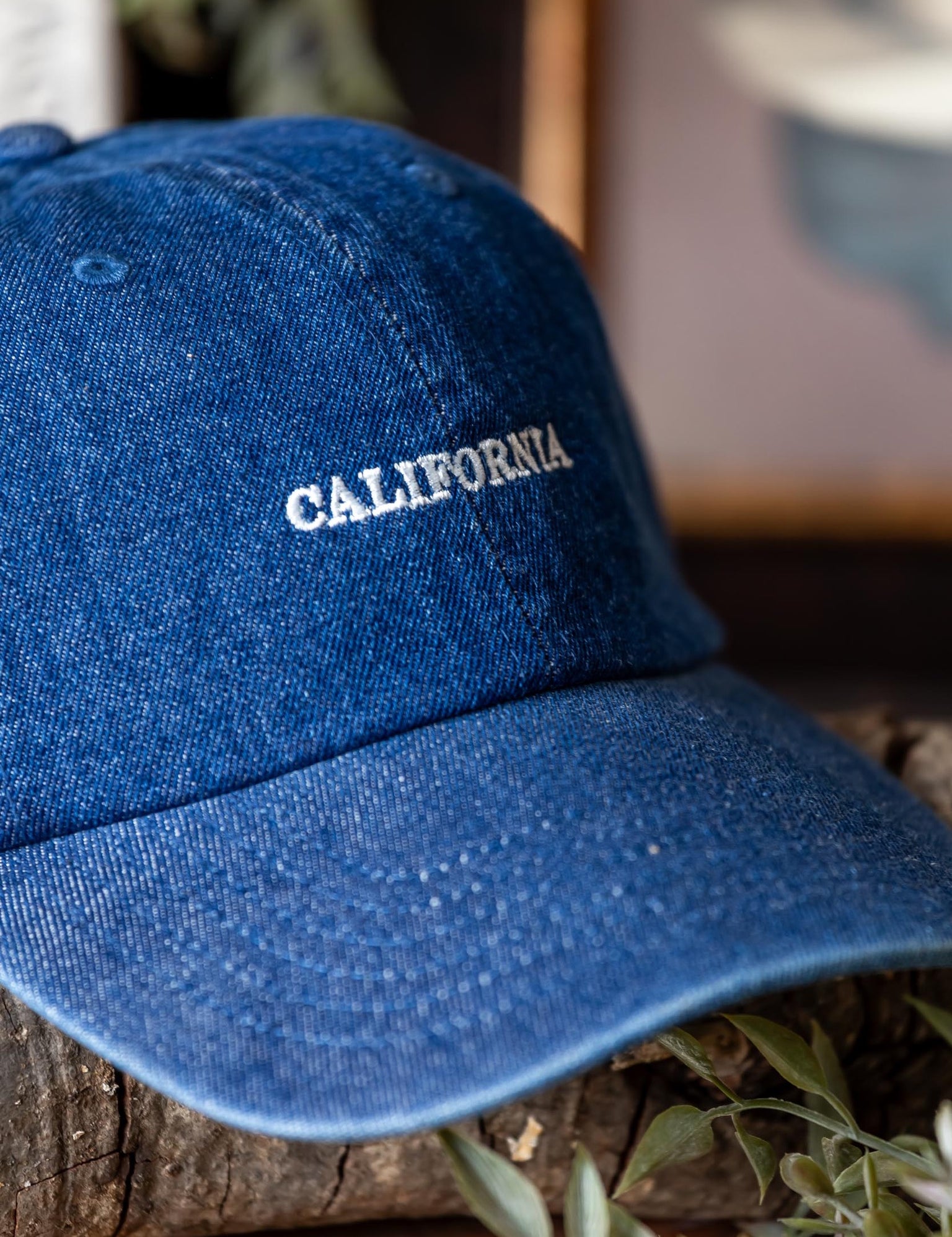 California Embroidered Denim Cap Fashion City