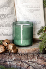 Mistletoe Olive Seeded Candle