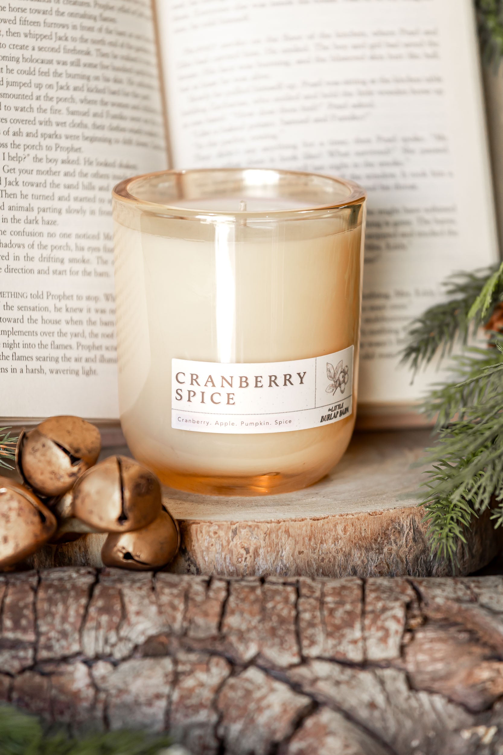 Cranberry Spice Champagne Glow Candle The Little Burlap Barn