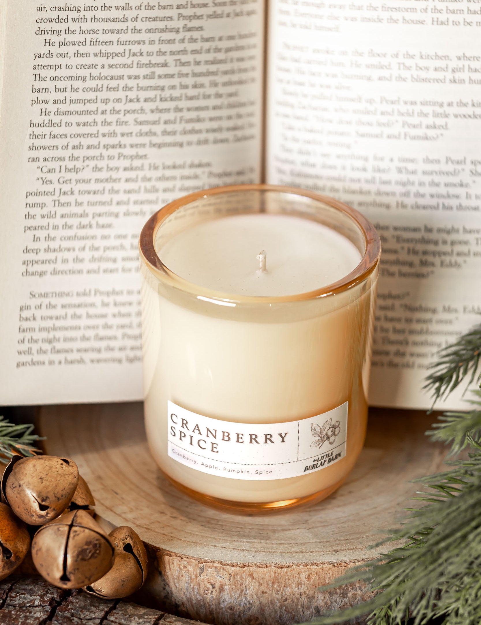Cranberry Spice Champagne Glow Candle The Little Burlap Barn