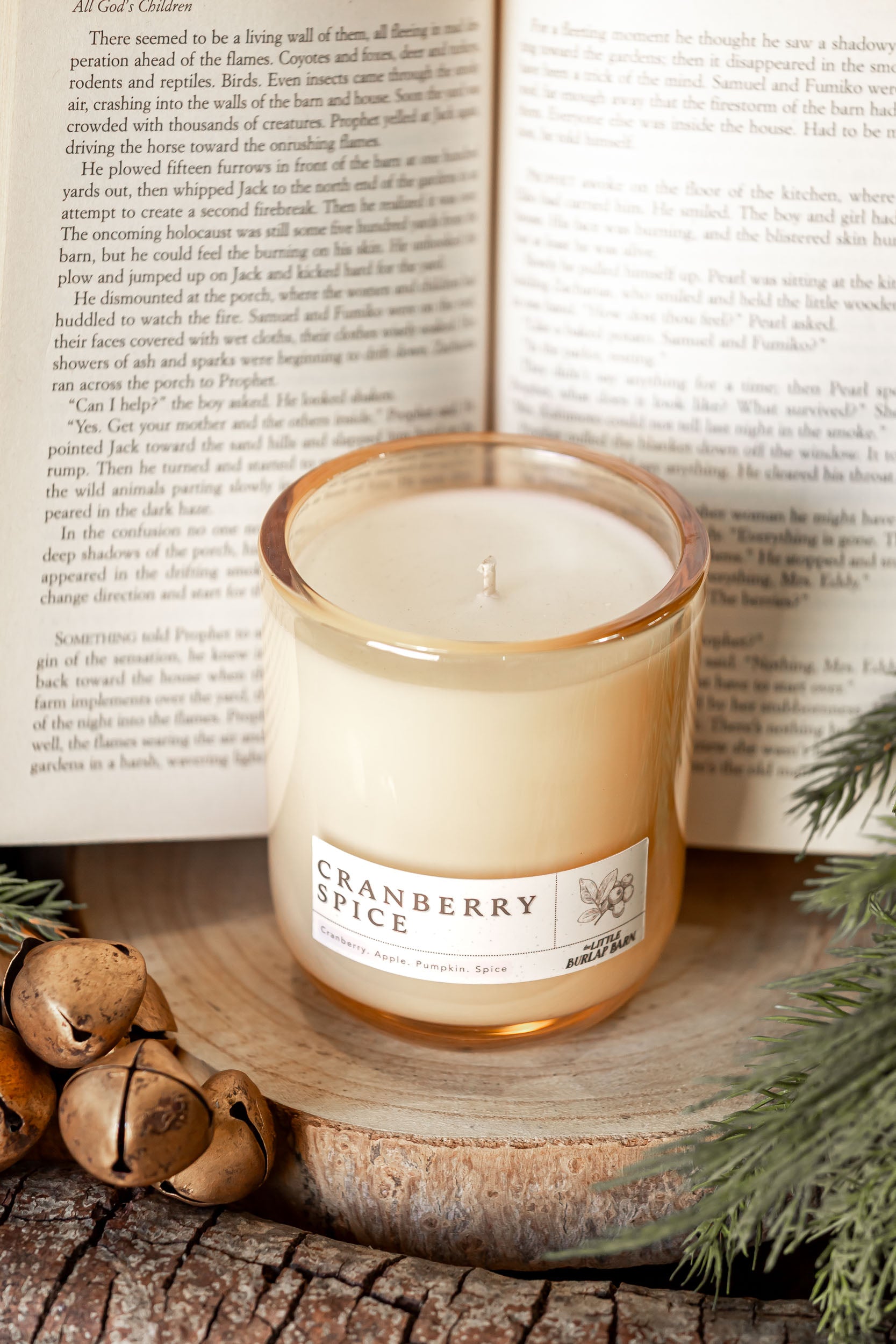 Cranberry Spice Champagne Glow Candle The Little Burlap Barn