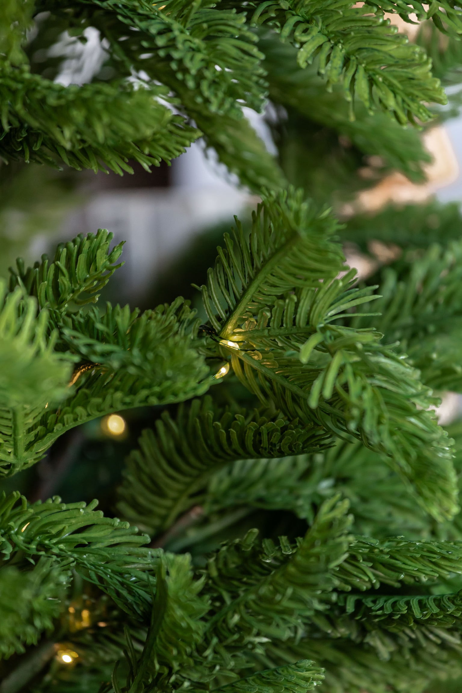 Lighted Norfolk Pine Tree Raz Imports