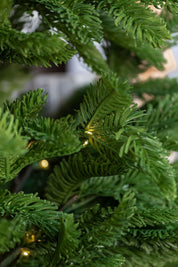Lighted Norfolk Pine Tree Raz Imports