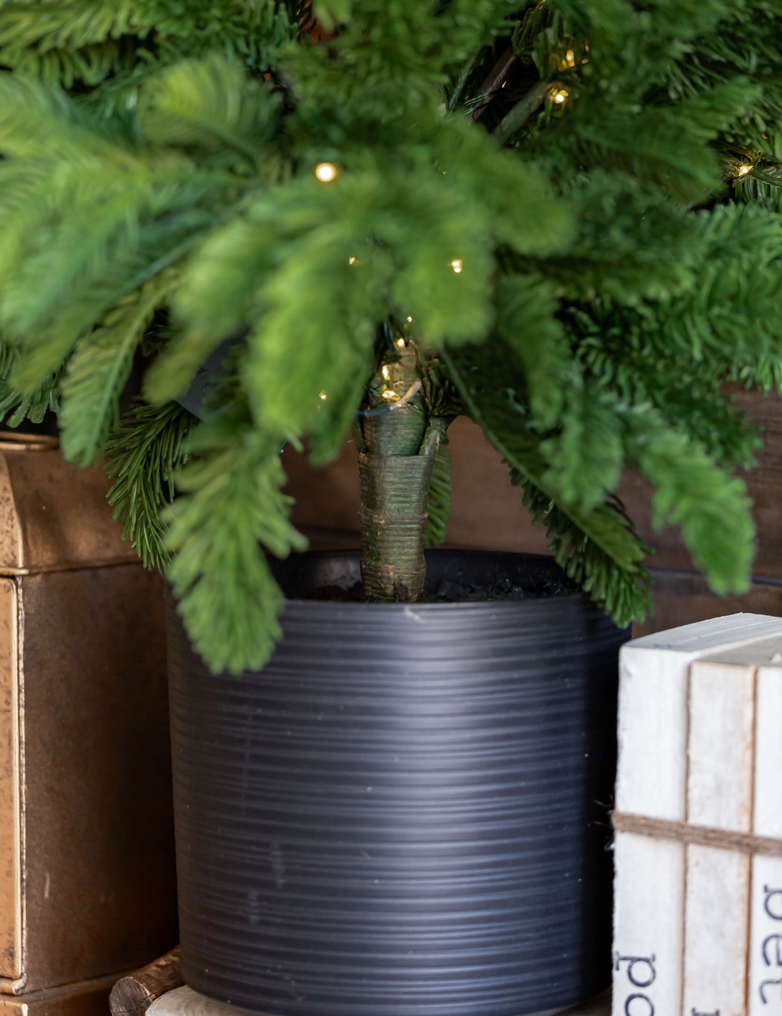 Lighted Norfolk Pine Tree Raz Imports