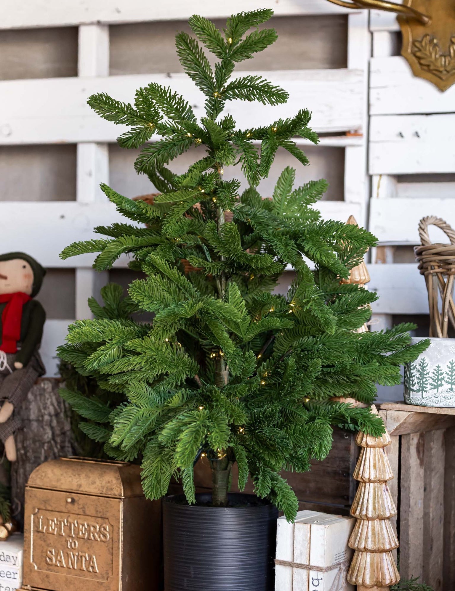Lighted Norfolk Pine Tree Raz Imports
