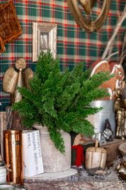 Green Cedar Stem Raz Imports