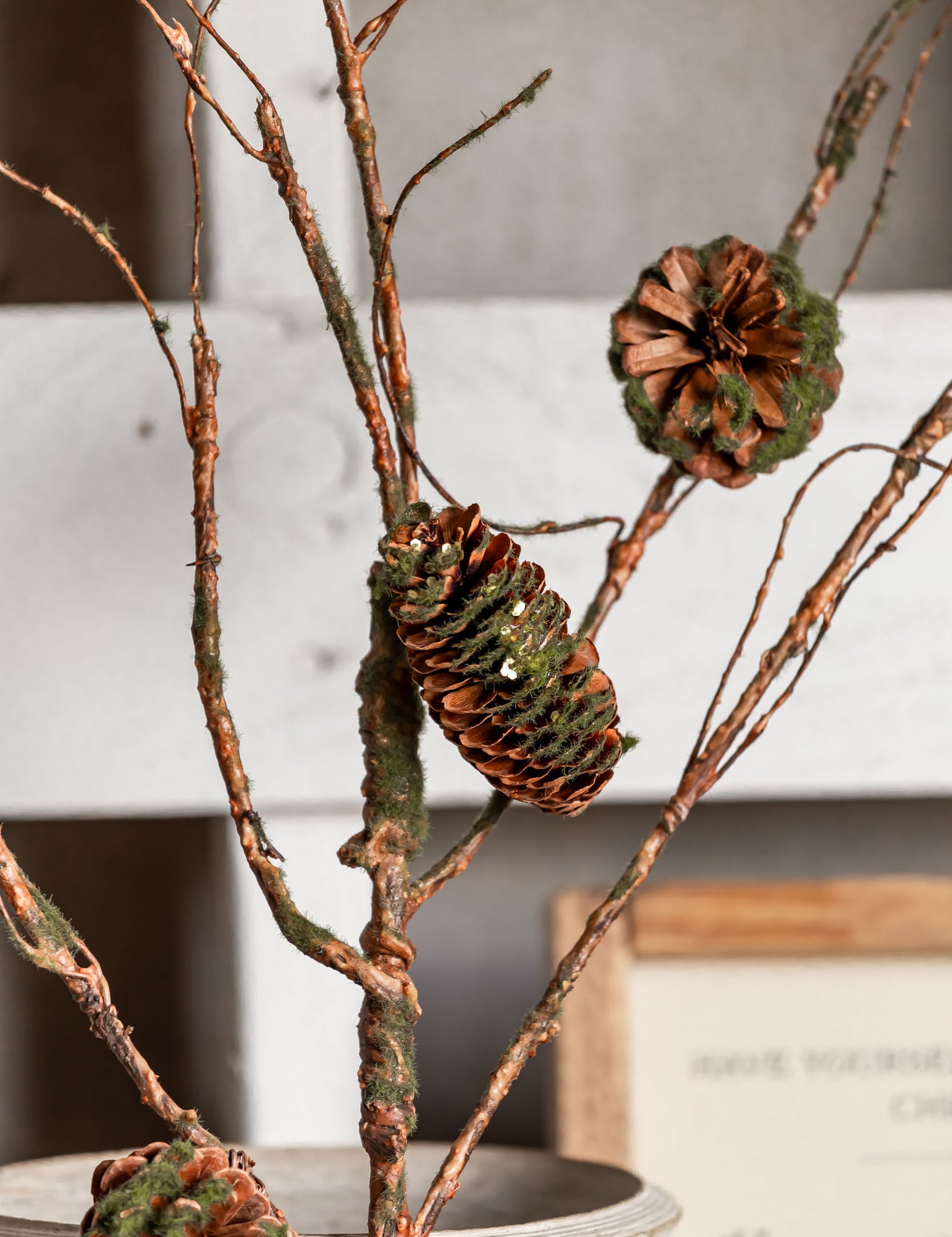 Mossy Pinecone Branch Ragon House