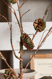 Mossy Pinecone Branch Ragon House