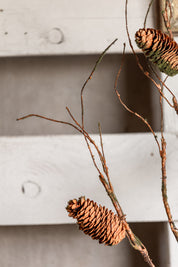 Mossy Pinecone Branch Ragon House