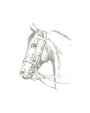 Guided Day Trips to Savannah &amp; Charleston