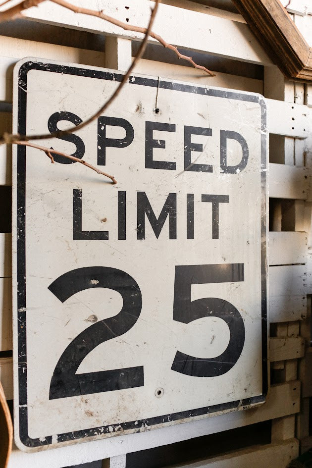 "Speed Limit 25" Street Sign (L)