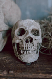 Concrete Skull Planter