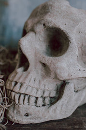 Concrete Skull Planter