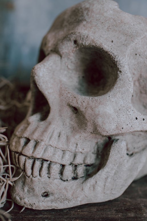 Concrete Skull Planter