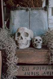 Concrete Skull Planter