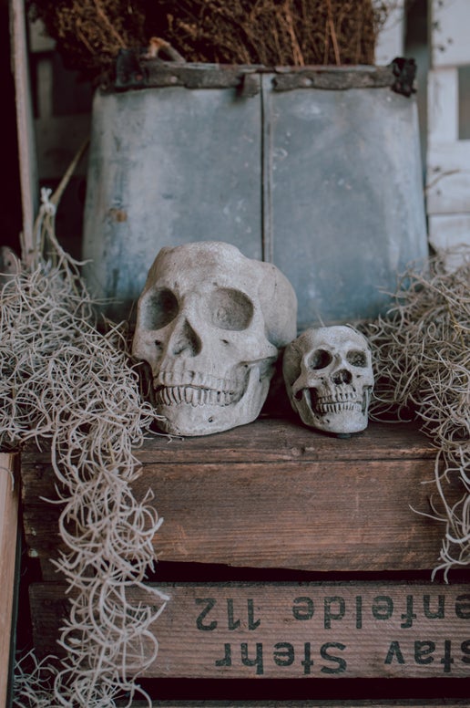 Concrete Skull Planter