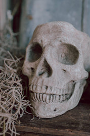 Concrete Skull Planter
