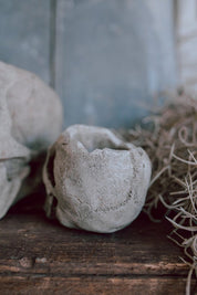 Concrete Skull Planter
