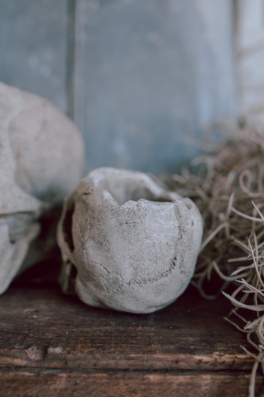 Concrete Skull Planter