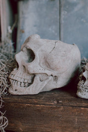 Concrete Skull Planter