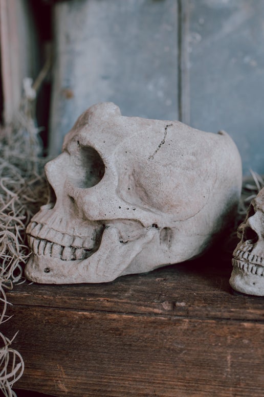 Concrete Skull Planter