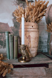 Brass Owl Candlestick