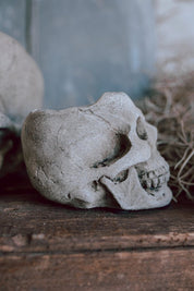 Concrete Skull Planter